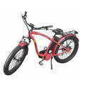 1000W 48V 2 Wheel Fat Tyre Electric Bicycle/E Bike